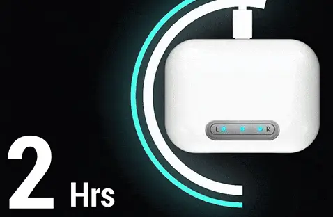 Oricle fixes all bad pet behaviors